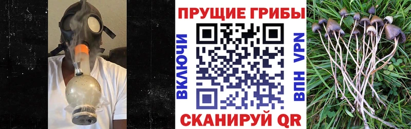 Галлюциногенные грибы мицелий  Купить закладки  Ленинск-Кузнецкий 